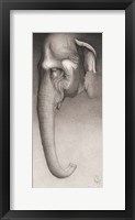 Toni, the Elephant Fine Art Print