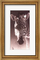 Grant, the Zebra Fine Art Print