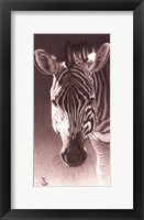 Grant, the Zebra Fine Art Print