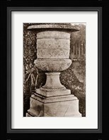 Versailles Urn II Framed Print