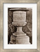 Versailles Urn II Giclee