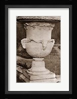 Versailles Urn III Framed Print