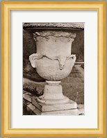 Versailles Urn III Giclee