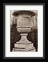Versailles Urn IV Framed Print