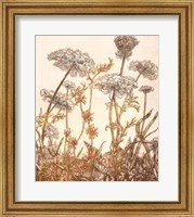 Field of Lace I Giclee