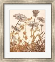 Field of Lace I Giclee