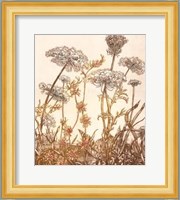 Field of Lace I Giclee