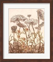 Field of Lace II Giclee