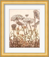 Field of Lace II Giclee