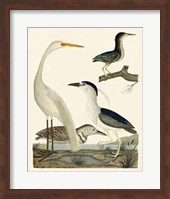 Heron Family II Giclee