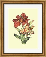 Lush Floral I Giclee