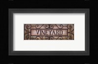 Vineyard Fine Art Print