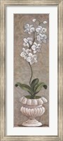 Lavish Orchids I Fine Art Print