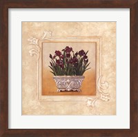 Red Irises Fine Art Print