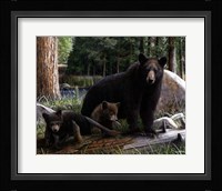 New Discoveries Fine Art Print