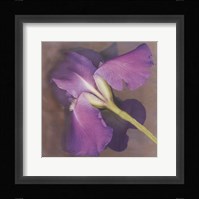 Parfum Framed Print