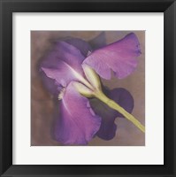 Parfum Framed Print