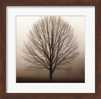 Stillness Fine Art Print