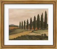 Shady Tuscan Road Fine Art Print