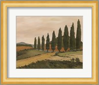 Shady Tuscan Road Fine Art Print