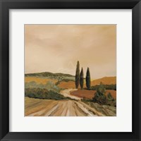 Shady Tuscan Fields Fine Art Print