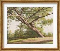 Leaning Tree, 2003 Fine Art Print