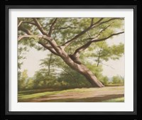 Leaning Tree, 2003 Fine Art Print