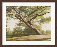 Leaning Tree, 2003 Fine Art Print