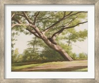 Leaning Tree, 2003 Fine Art Print