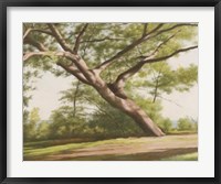 Leaning Tree, 2003 Fine Art Print