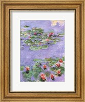 Water Lilies, c. 1914-1917 Fine Art Print