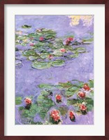 Water Lilies, c. 1914-1917 Fine Art Print