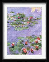 Water Lilies, c. 1914-1917 Fine Art Print