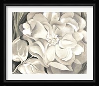The White Calico Flower, 1931 Fine Art Print