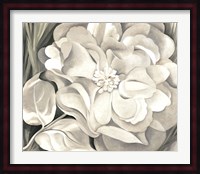 The White Calico Flower, 1931 Fine Art Print