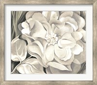 The White Calico Flower, 1931 Fine Art Print