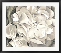 The White Calico Flower, 1931 Framed Print