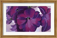 Petunias, 1925 Fine Art Print