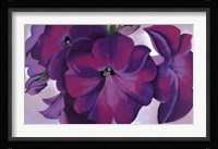 Petunias, 1925 Fine Art Print