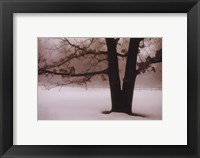 Tranquility Fine Art Print