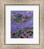 Water Lilies, c. 1914-1917 Fine Art Print