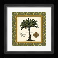 Banana Palm (Green) Fine Art Print