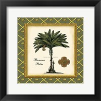 Banana Palm (Green) Fine Art Print