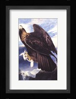 Golden Eagle Fine Art Print