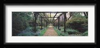 Garden Path Fine Art Print