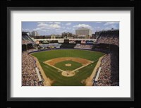 World Champions1996 Fine Art Print