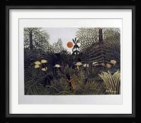 Virgin Forest Fine Art Print