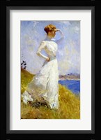 Sunlight Fine Art Print