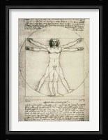 Human Proportions-Vitruvian Man Fine Art Print
