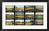 Major League Ballparks - American League Framed Print